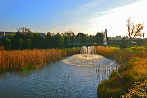 Photo 12- click for photo gallery